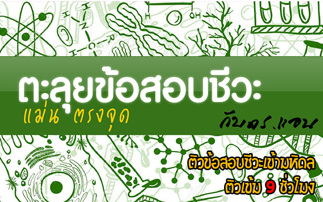 ติวเข้า ม4 มหิดล